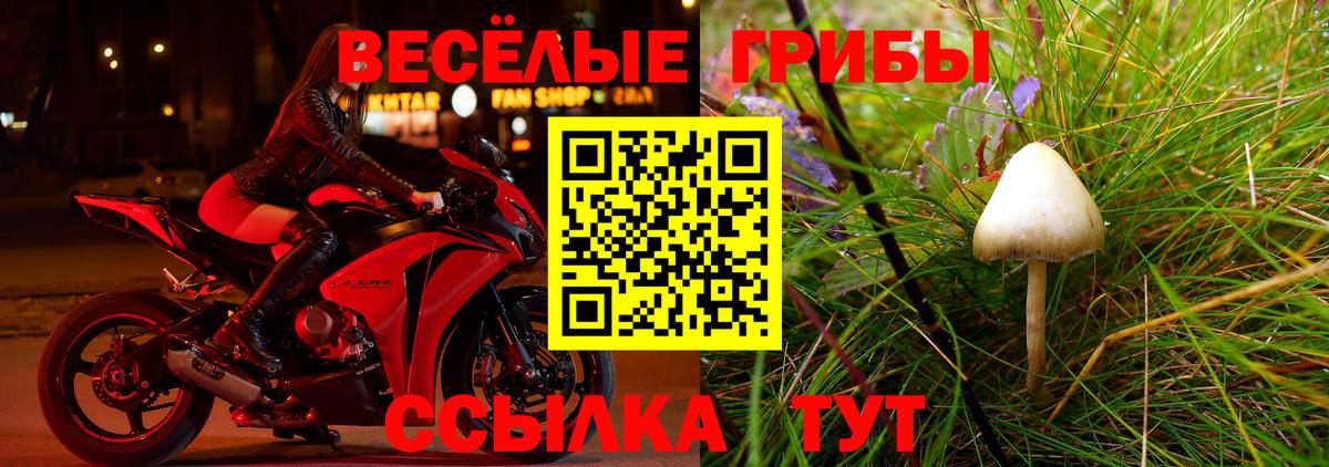 Галлюциногенные грибы GOLDEN TEACHER  Вход с VPN  Богородск 